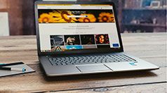 diseño web